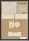 Campylodiscus ralfsii W. Sm. (de-Toni-Nr.: Genus 57, Species 2444) Zeichnungen Sammlung Grunow Nr. 4909 (NHMW-BOT-W0373112)